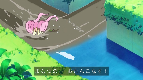 「トロピカル~ジュ!プリキュア」10話感想 (53)