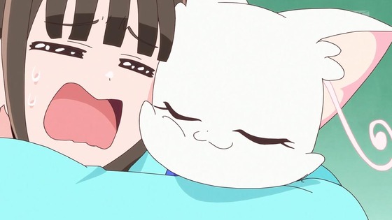 「わんだふるぷりきゅあ!」わんぷり 5話感想 (41)