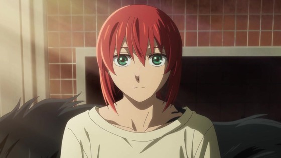 「魔法使いの嫁 SEASON2」2期 1話感想 (39)