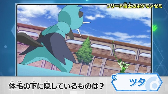 「ポケットモンスター」アニポケ46話感想 (141)