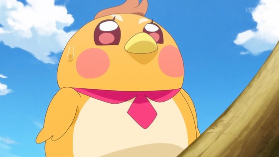 「ひろがるスカイ！プリキュア」ひろプリ 20話感想 (34)