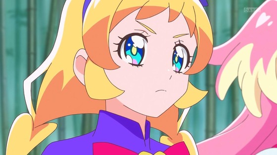 「わんだふるぷりきゅあ!」わんぷり 17話感想 (85)