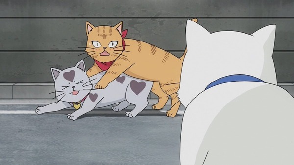 「斉木楠雄のΨ難」 (16)