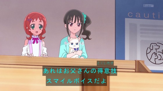「わんだふるぷりきゅあ!」わんぷり 33話感想 (13)