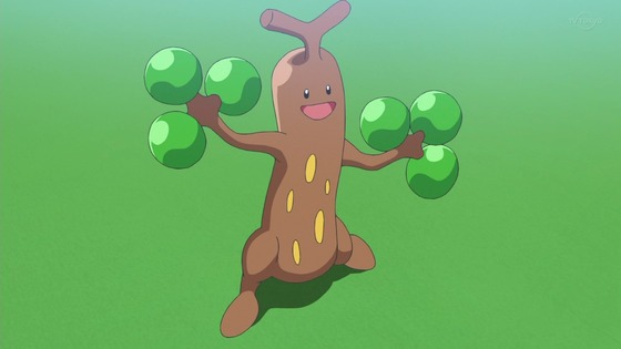 「ポケットモンスター」10話 感想 (67)