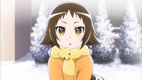 (11)