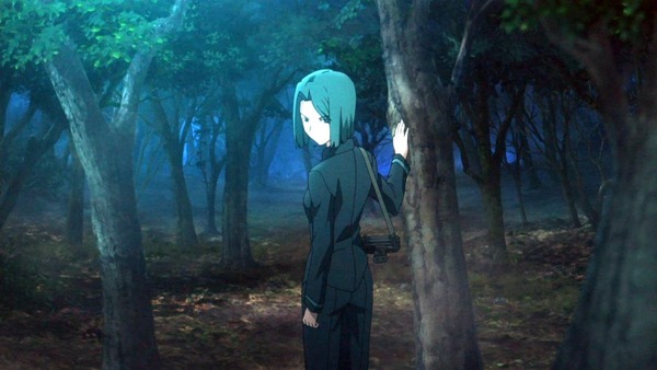 FateZero (11)