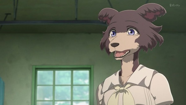 「BEASTARS ビースターズ」第12話 画像 (24)