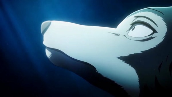 「BEASTARS(ビースターズ)」2話感想 (147)