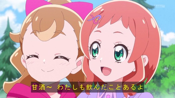 「わんだふるぷりきゅあ！」わんぷり 47話感想 (22)