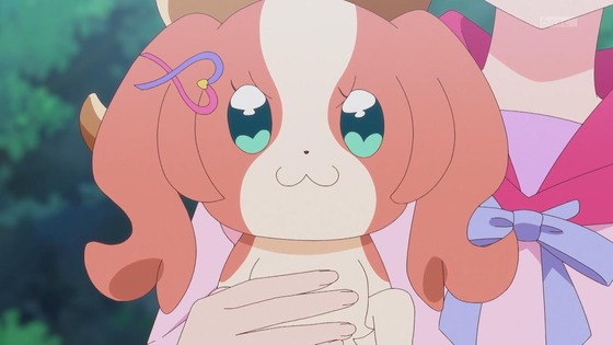 「わんだふるぷりきゅあ!」わんぷり 40話感想 (9)