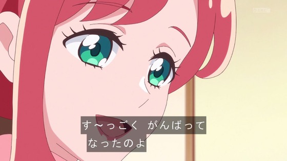 「わんだふるぷりきゅあ!」わんぷり 33話感想 (24)