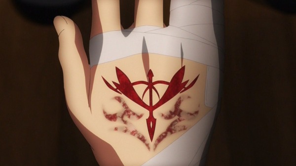 FateZero (16)