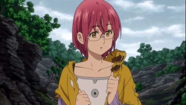 七つの大罪 (21)