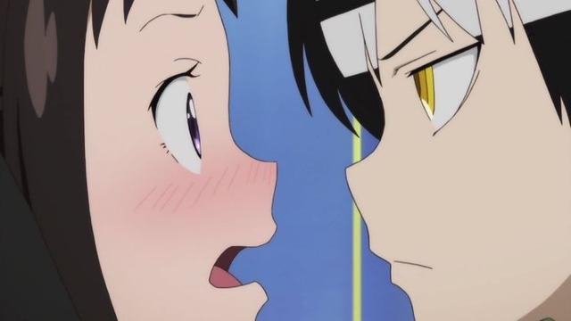 6 (27)