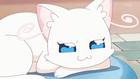 「わんだふるぷりきゅあ!」わんぷり 16話感想 (30)