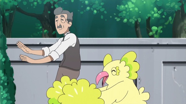 「ポケットモンスター サン&ムーン」 (27)