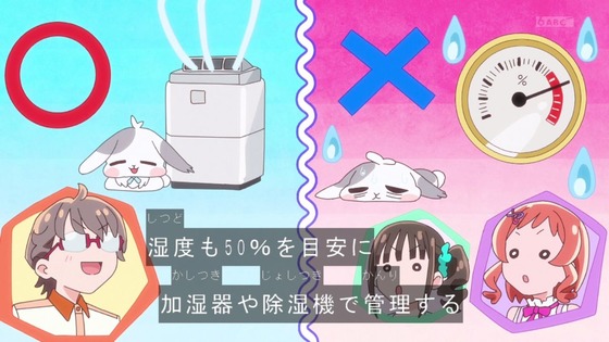 「わんだふるぷりきゅあ!」わんぷり 26話感想 (36)