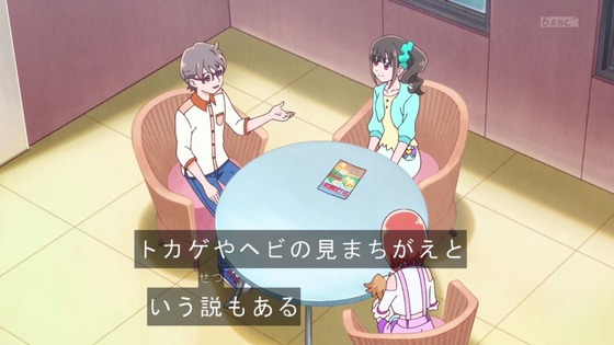 「わんだふるぷりきゅあ!」わんぷり 27話感想 (11)