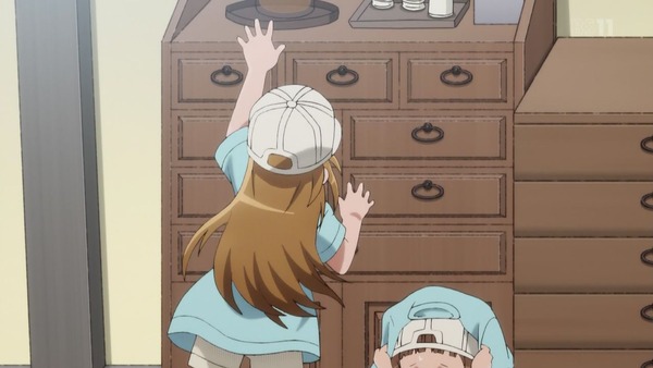 「はたらく細胞」11話感想 (12)