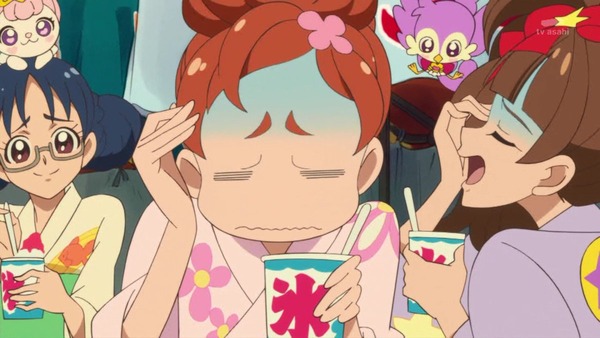 プリンセスプリキュア (14)
