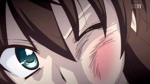 「ViVid Strike!」 (11)