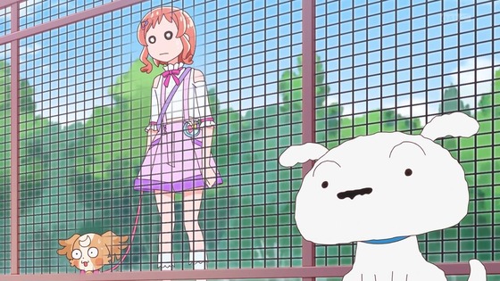 「わんだふるぷりきゅあ!」わんぷり 16話感想 (15)