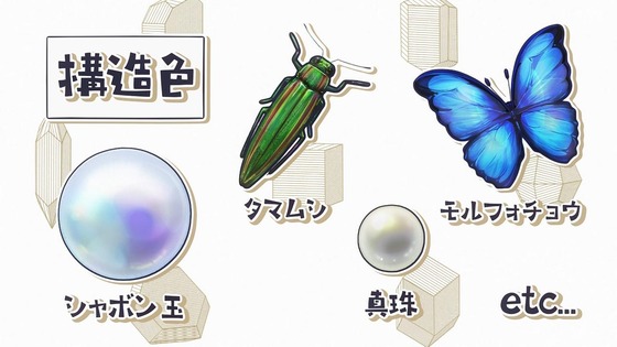 「瑠璃の宝石」7話感想 (40)