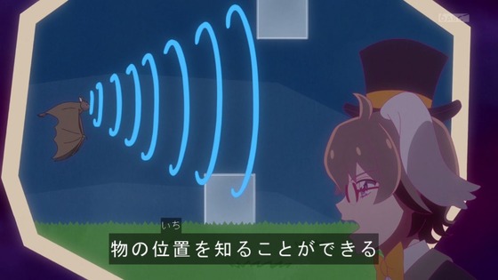 「わんだふるぷりきゅあ!」わんぷり 39話感想 (44)