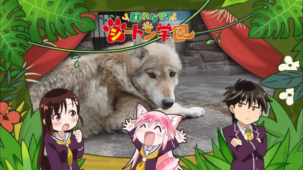 「群れなせ!シートン学園」1話感想 画像 (22)
