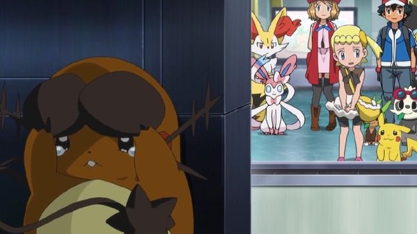 「ポケットモンスターXY&Z」 (20)