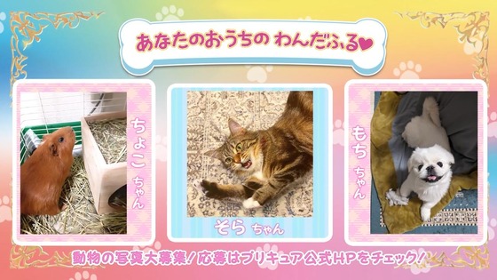 「わんだふるぷりきゅあ!」わんぷり 4話感想 (72)