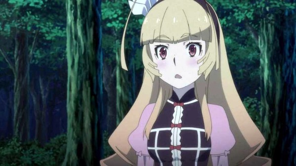 チャイカ (29)