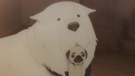 「SPY×FAMILY」3期 38話感想 (12)