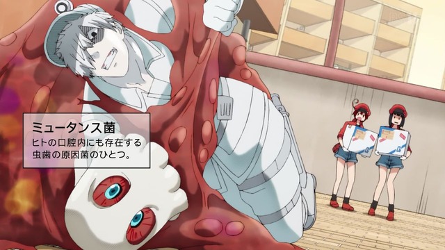 「はたらく細胞」12話感想 (14)