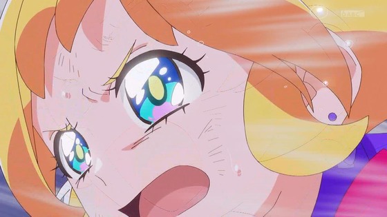 「わんだふるぷりきゅあ!」わんぷり 36話感想 (69)
