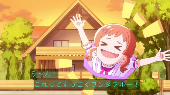 「わんだふるぷりきゅあ!」わんぷり 16話感想 (62)