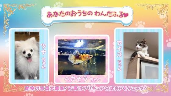 「わんだふるぷりきゅあ!」わんぷり 26話感想 (85)