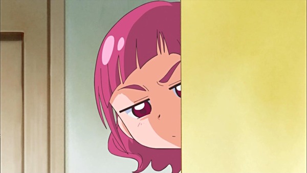 「HUGっと！プリキュア」13話感想 (19)