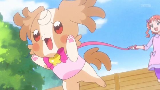 「わんだふるぷりきゅあ!」わんぷり 5話感想 (34)
