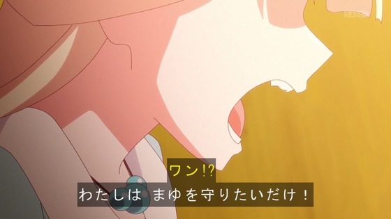「わんだふるぷりきゅあ!」わんぷり 17話感想 (92)