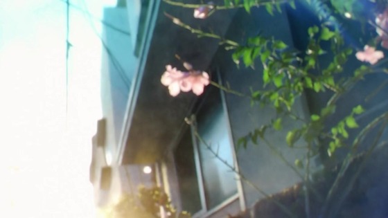 「アオのハコ」1話感想 (20)
