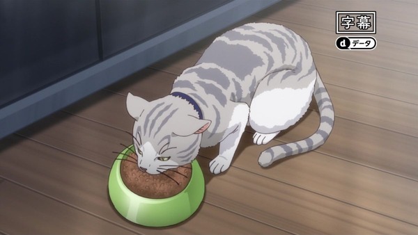 やはり俺の青春ラブコメはまちがっている (1)