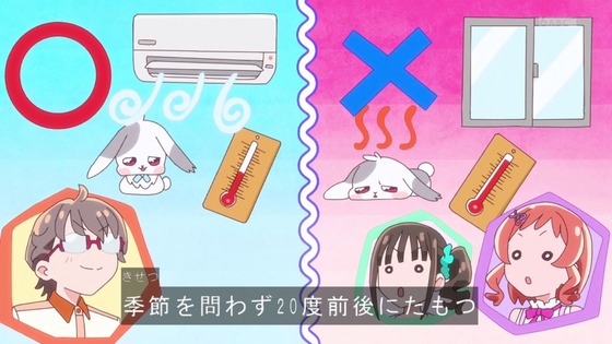 「わんだふるぷりきゅあ!」わんぷり 26話感想 (35)