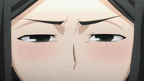 FateZero (15)