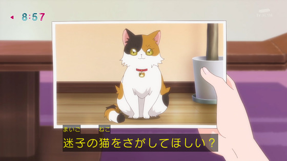 「名探偵プリキュア！」15話感想 (77)