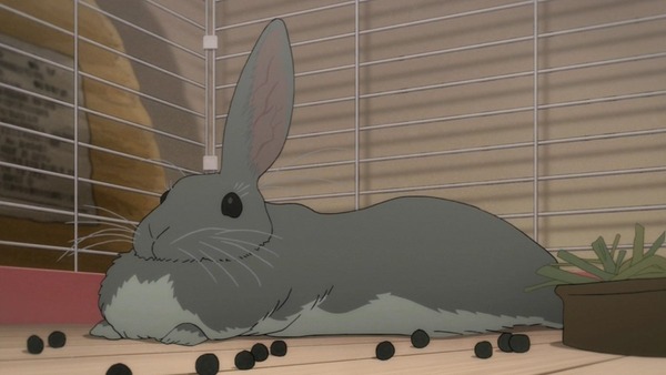 「フリップフラッパーズ」 (62)