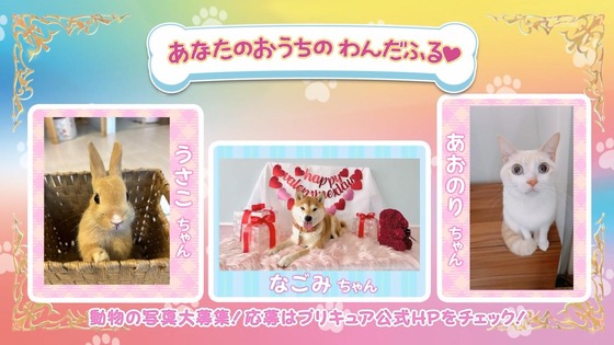 「わんだふるぷりきゅあ!」わんぷり 33話感想 (63)