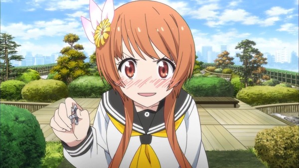 ニセコイ： (15)