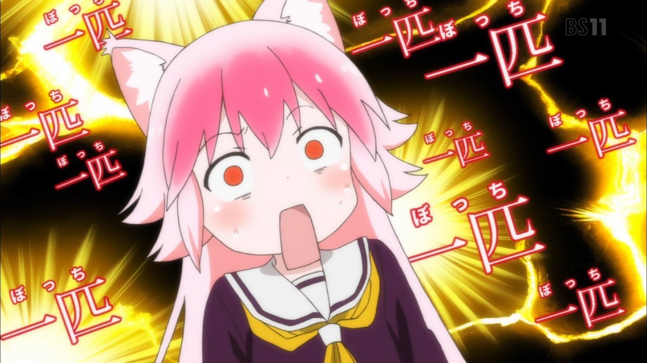 なせ シートン 群れ